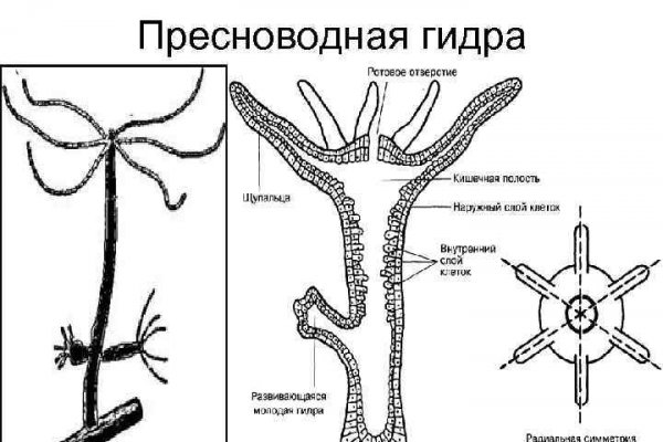 Кракен сыл ссылка