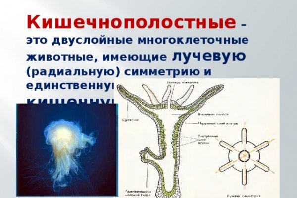 Кракен маркетплейс актуальные ссылки