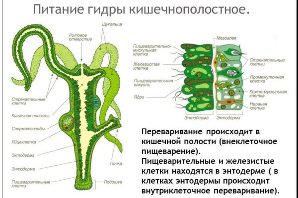 Клирнет ссылка на зеркало маркетплейс кракен