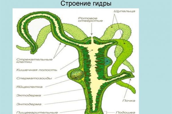 Сайт кракен закрыли