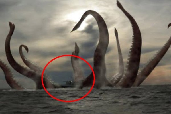 Kraken зеркало рабочее