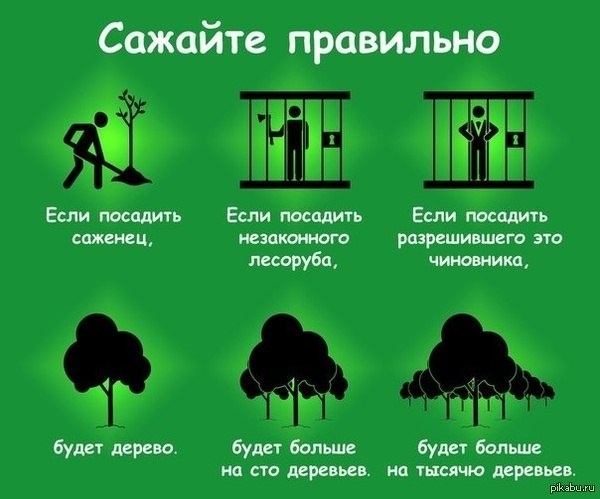 Как сделать заказ на кракен